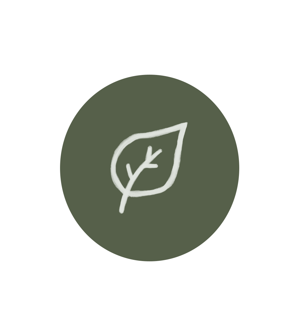 Alt Image